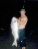 Blackfin_s_bull_red.jpg