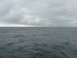 DSC00014.JPG