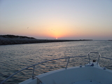 DSC00656.JPG