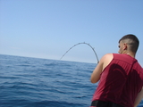 DSC00669.JPG