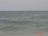 DSC03008.JPG