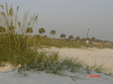 DSC03019.JPG