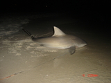 DSC03029.JPG