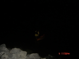 DSC03049.JPG