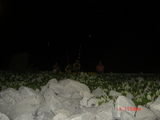 DSC03051.JPG