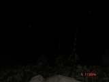 DSC03052.JPG