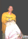Filename=DeaverBullShark.jpg
Filesize=25KB
Dimensions=423x600
Date added=Dec 06, 2007 DeaverBullShark.jpg