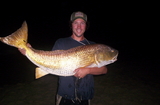 Filename=FuzzyBullRed.jpg
Filesize=341KB
Dimensions=800x526
Date added=Jul 02, 2007 FuzzyBullRed.jpg