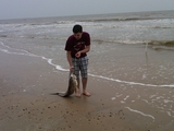 IMG00285-20100316-1520.jpg
