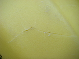 IMGP1447.JPG