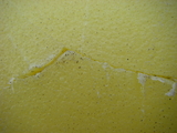 IMGP1448.JPG