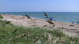 IMG_0106.JPG