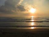 IMG_0230.jpg
