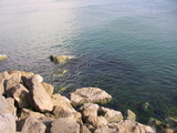 IMG_0238.jpg