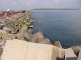 IMG_0241.jpg