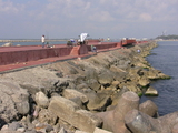 IMG_0242.jpg