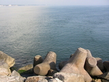 IMG_0248.jpg
