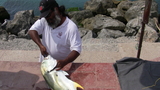 IMG_1012.JPG