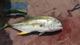 IMG_1014.JPG