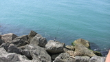 IMG_1016.JPG