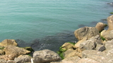 IMG_1031.JPG