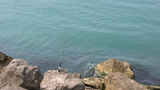 IMG_1032.JPG