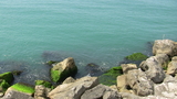 IMG_1035.JPG
