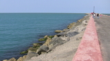 IMG_1037.JPG