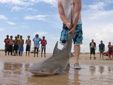 IMG_6868.JPG