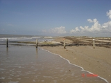 McFadden_6-15-08_004.jpg