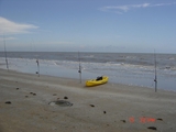 McFadden_6-15-08_012.jpg