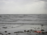 Padre_Island_TSF_gettogether_10-08_to_10-12_036.jpg