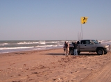 Picture_007~3.jpg