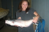 Shannon_s_Catfish.JPG