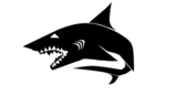 Shark_2.jpg