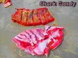 Shark_Candy.jpg
