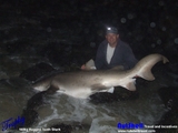 Filename=Template_Large_Web_view.jpg
Filesize=228KB
Dimensions=640x480
Date added=Oct 26, 2008 Template_Large_Web_view.jpg