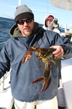 another_lobster_shot.bmp