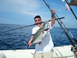 blue_trevally.JPG