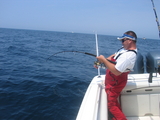 bluefin.jpg