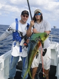 bowandarrowmahi.jpg