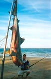 Filename=classic-picture9.jpg
Filesize=28KB
Dimensions=283x440
Date added=Jan 02, 2009 classic-picture9.jpg
