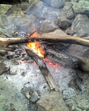 Filename=startfire.jpg
Filesize=442KB
Dimensions=640x800
Date added=Dec 06, 2008 startfire.jpg