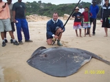 Filename=stingray_210kgs_renier_george.jpg
Filesize=47KB
Dimensions=640x480
Date added=Sep 22, 2008 stingray_210kgs_renier_george.jpg