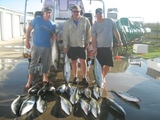Filename=tail6.jpg
Filesize=60KB
Dimensions=604x453
Date added=Sep 22, 2008 tail6.jpg