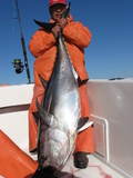 tunaCapeCod10-10-08002.jpg