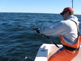 tunaCapeCod10-10-08008.jpg