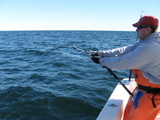tunaCapeCod10-10-08015.jpg