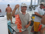 weird_grouper.jpg