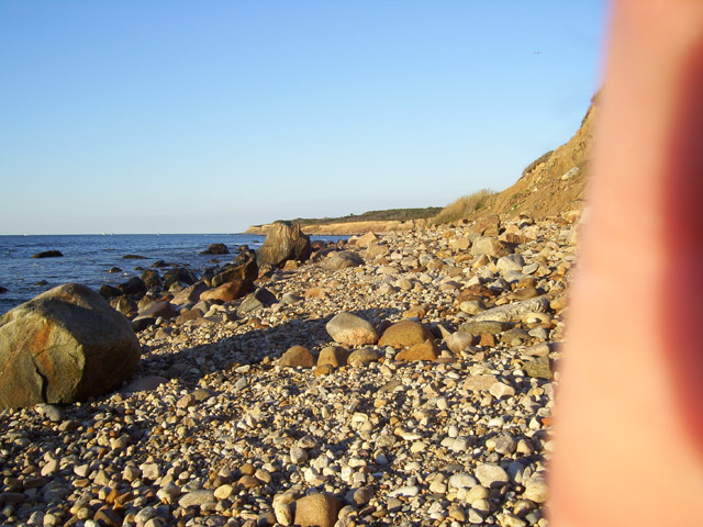 Browns, View of the Beach
